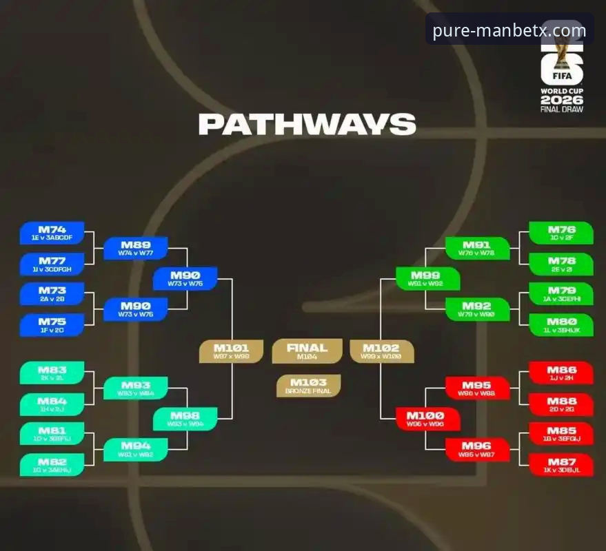 民主刚果绝杀晋级世界杯详解