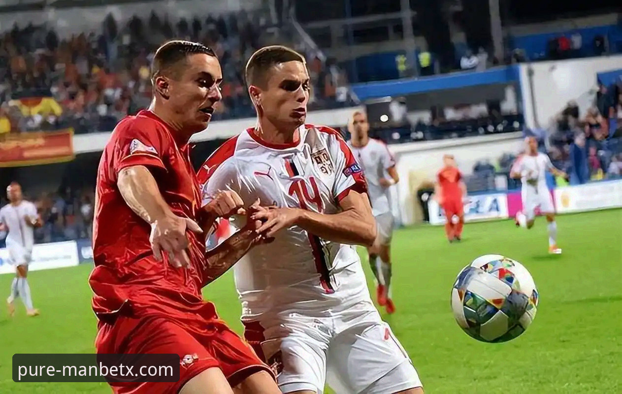 资深用户分享从波黑爆冷淘汰意大利谈新万博纯净版观赛体验