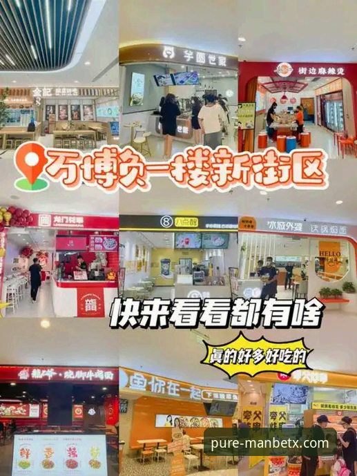 新万博纯净版APP安装完整指南：从下载到投注的实用教程