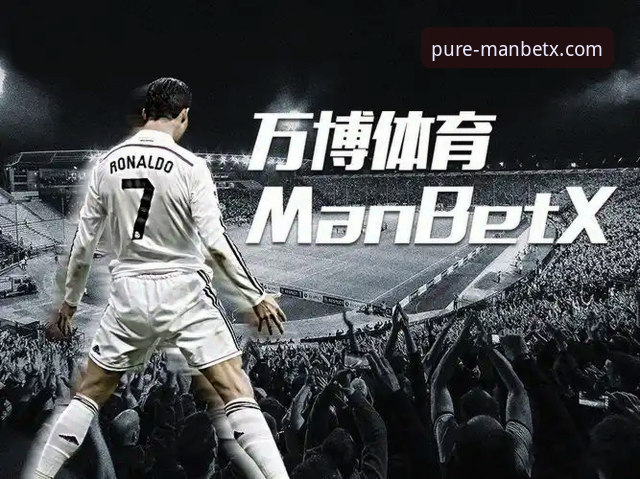 揭秘MANBETX体育投注平台2026最新版本：新万博纯净版的实战体验与安全真相